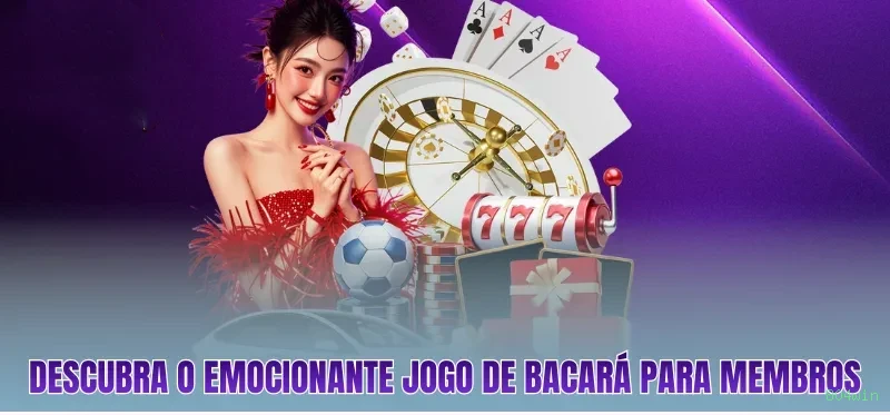 Apostas esportivas 804win - futebol e esportes ao vivo